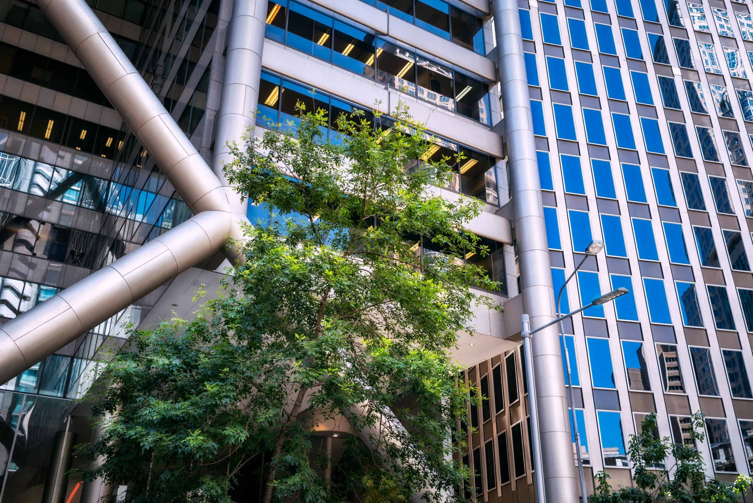 Modern office building with reflective windows and exposed metal beams, featuring trees at the base, exemplifying resilience through its design that incorporates advanced finite element analysis for structural safety.