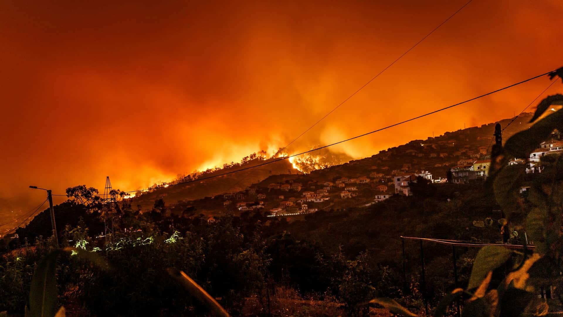 A wildfire burns across a hillside near a residential area at night, orange flames and smoke illuminating the sky—fire too close for comfort.
