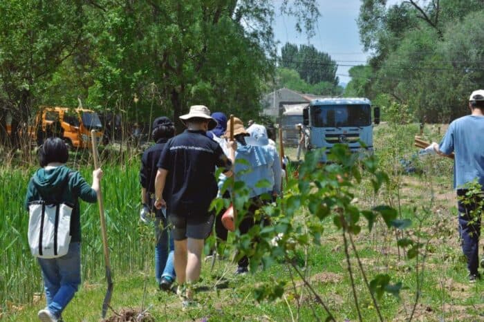 A group of people walking towards an area with construction vehicles in a rural setting, surrounded by trees and underbrush.