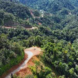 A winding dirt road cuts through dense, green forested hills in East Malaysia, with a “YII Winner 2025” badge overlaid in the lower left corner of the image.