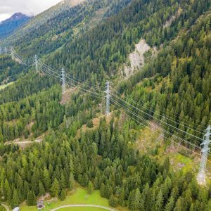 High-voltage power lines run through a dense, green forest in a mountainous landscape, with multiple transmission towers supporting grid resilience across the hills.