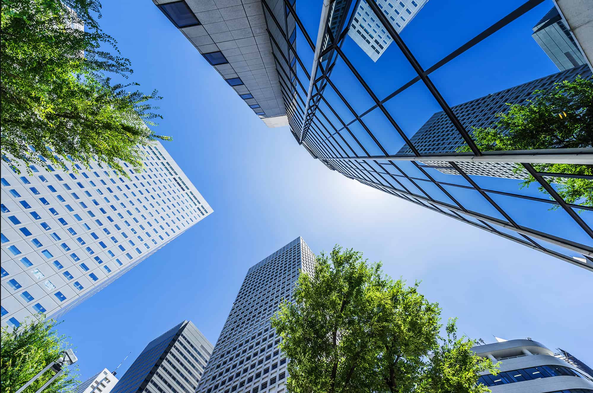 Upward view of skyscrapers framing a clear blue sky with trees in the foreground.