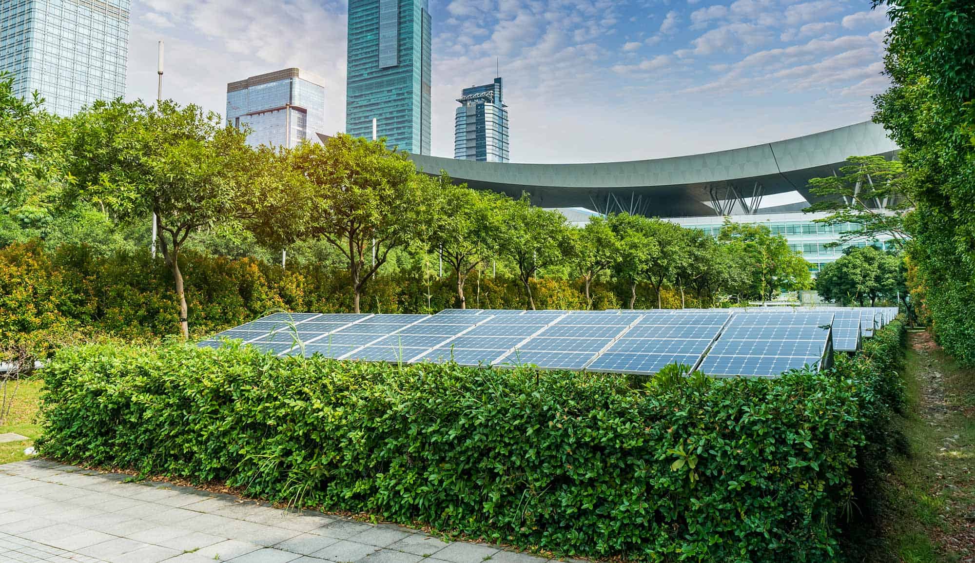 Solar panels in an urban park with modern buildings in the background.