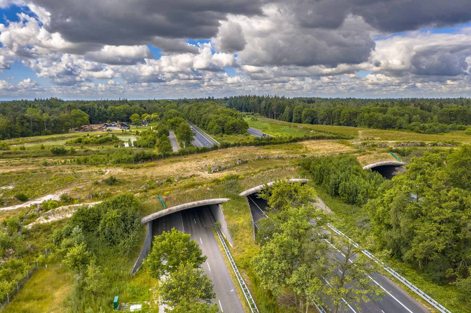 Roads Highway Nature Pathway