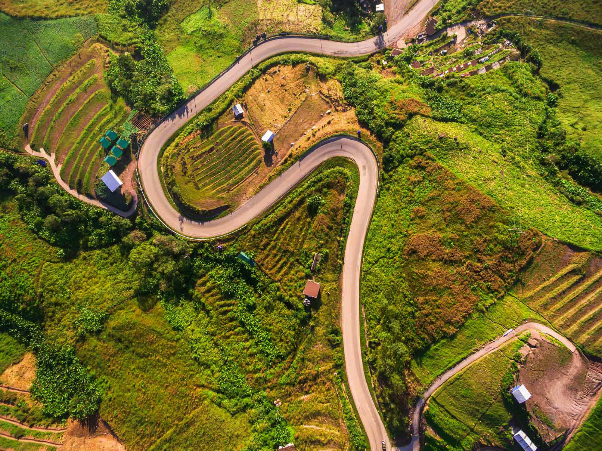 Aerial view of a winding road through lush green agricultural fields.