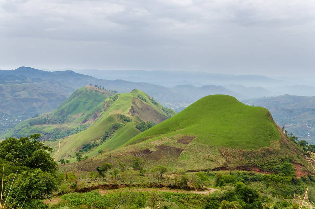 View of green rolling hills in Cameroon with patches of farmland and trees.