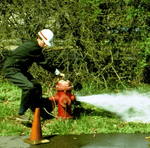 Hydrant Flow with Engineer