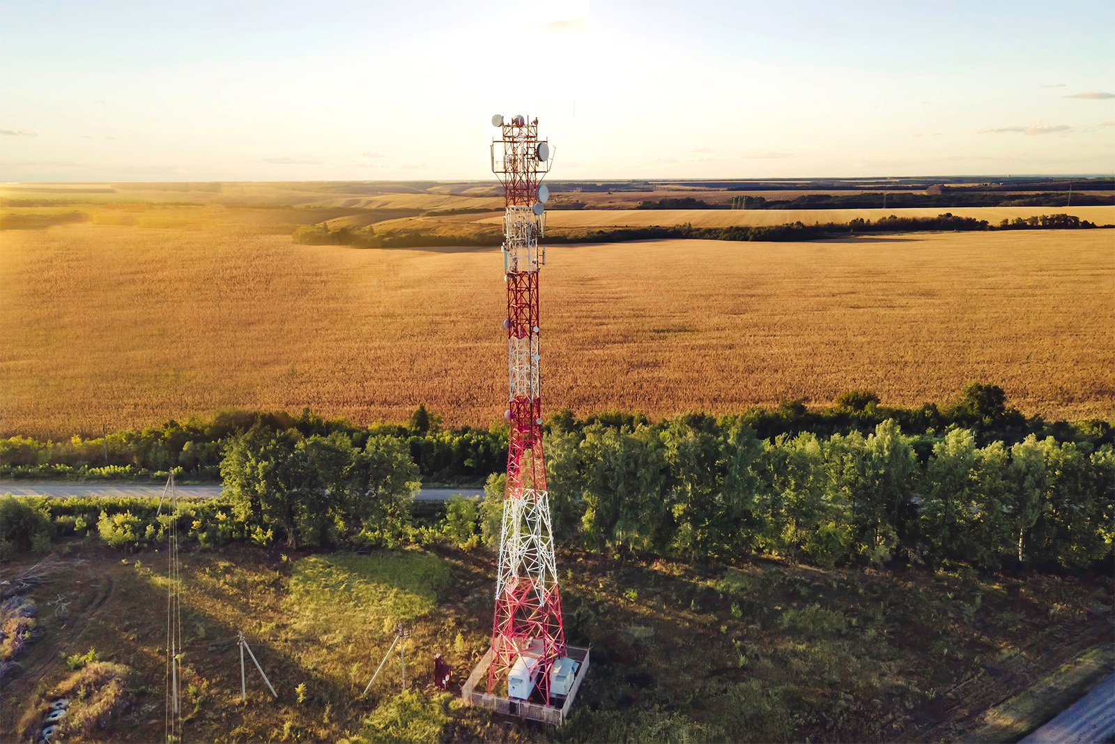 A red and white telecommunications tower stands in front of a large golden field with trees and distant farmland under a clear sky—Know Your Tower and its vital role in connecting rural landscapes.