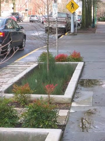 parking lot flower bed