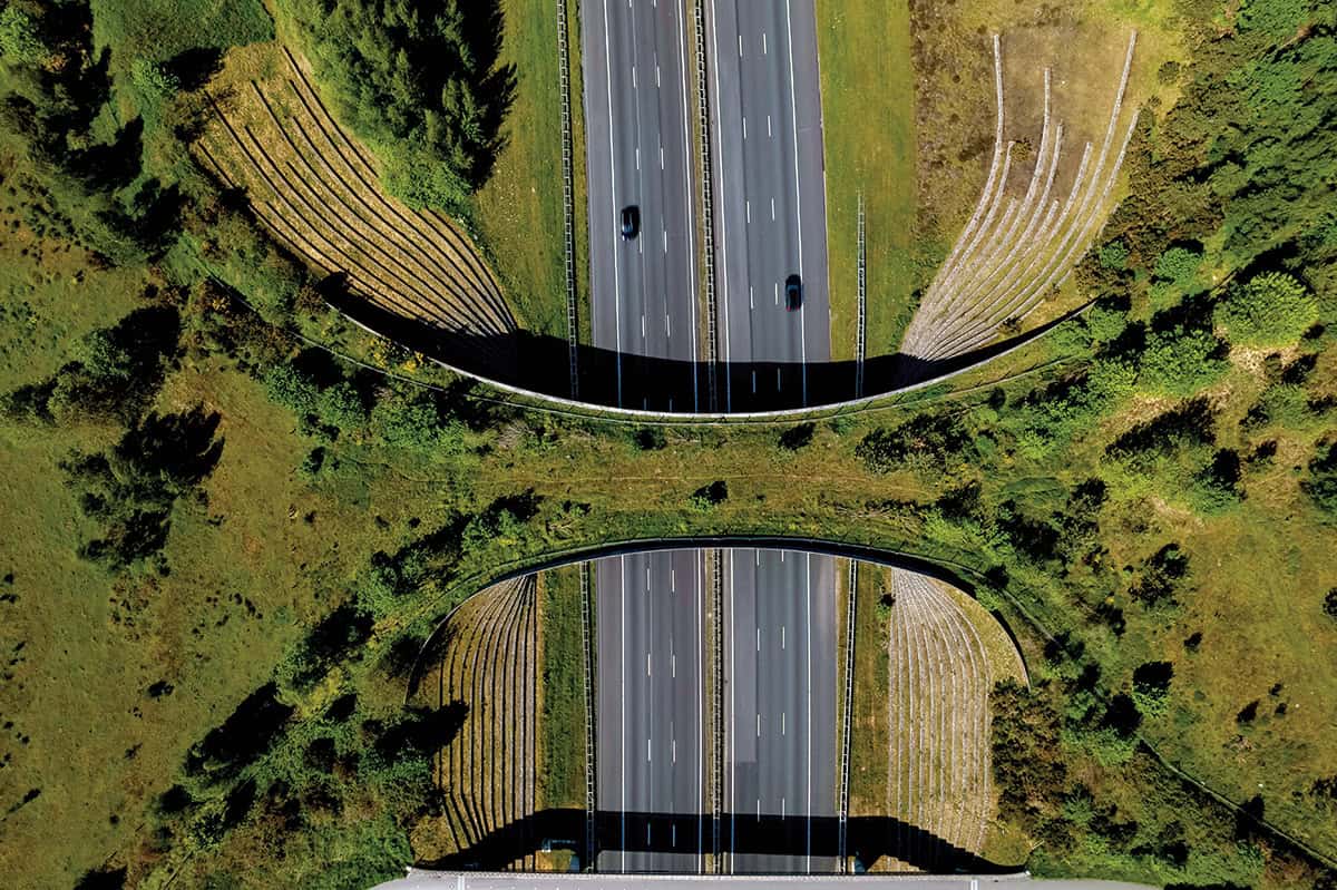 Aerial view of two parallel highways separated by a grassy wildlife bridge, showcasing modern road infrastructure with cars traveling in opposite directions, surrounded by green vegetation—an inspiring vision for tomorrow’s roads.